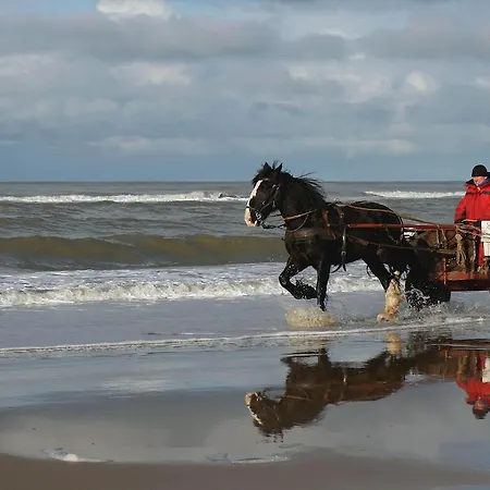 Hoogland Aan Zee 3* אגמונד אן זי